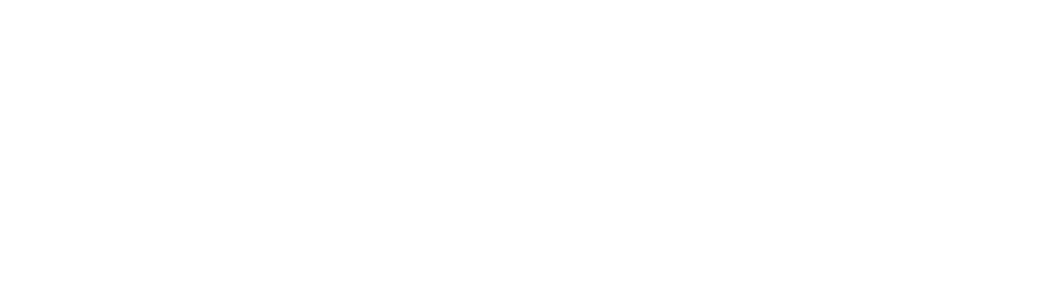FSS