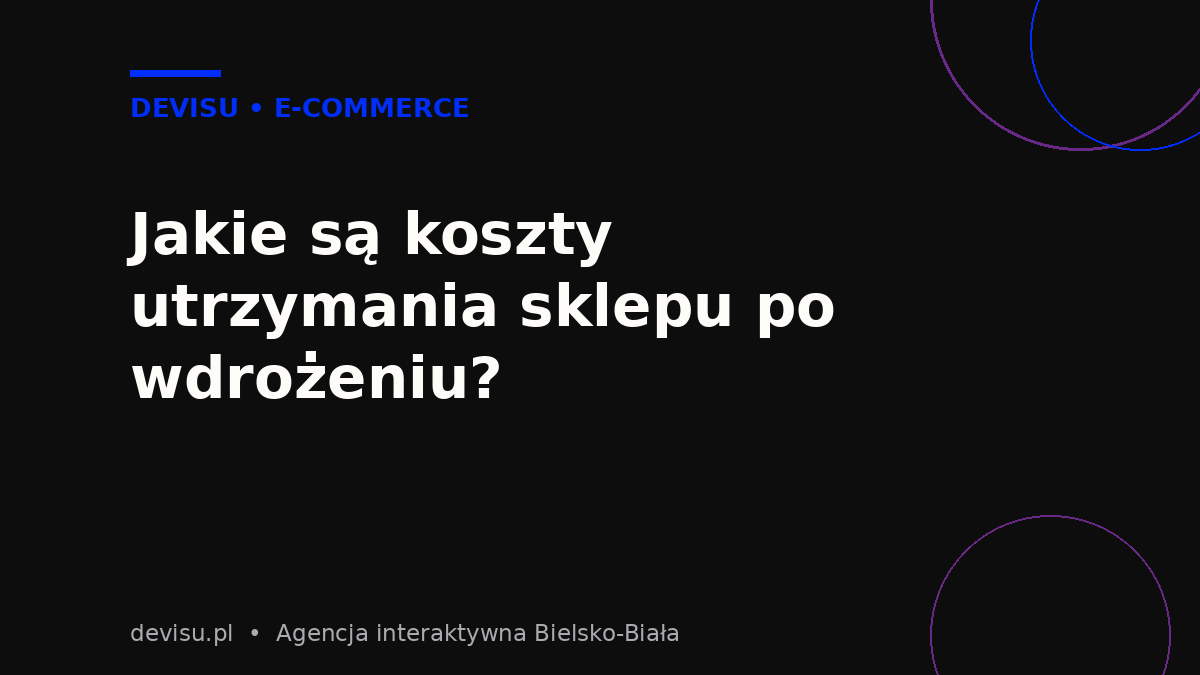 Koszty utrzymania sklepu internetowego – hosting, opieka techniczna i marketing
